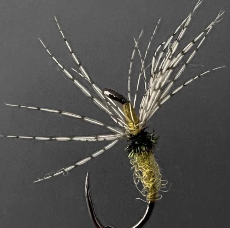Sakasa Kebari fly pattern tied by Tenkara NY