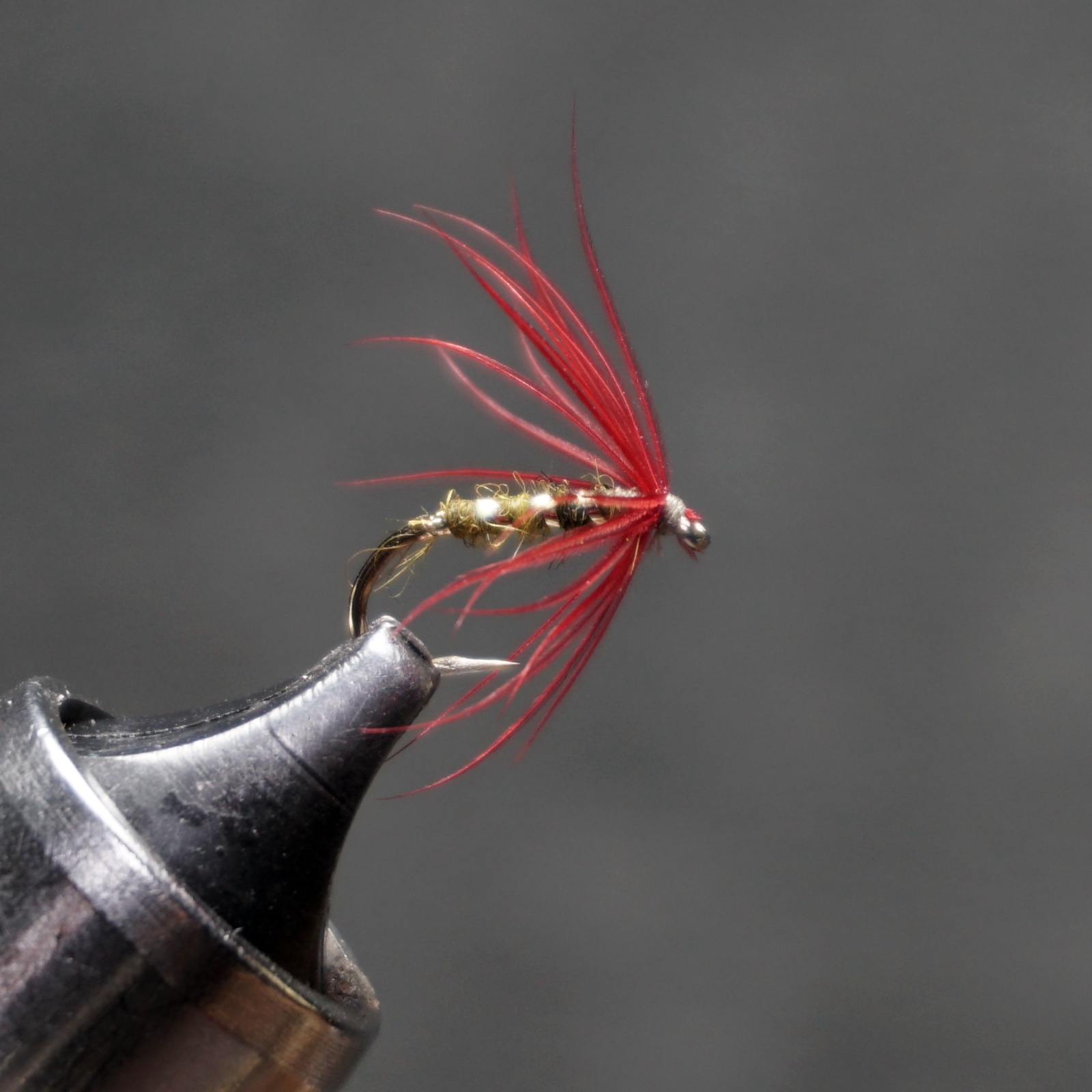 Blood Fly fly pattern tied by Christian Andrews
