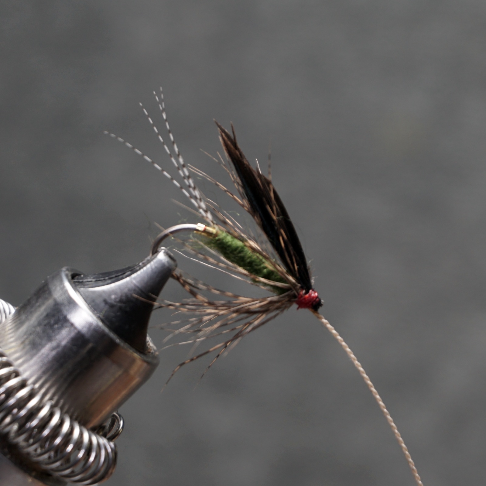 Stebbins fly pattern tied by Christian Andrews