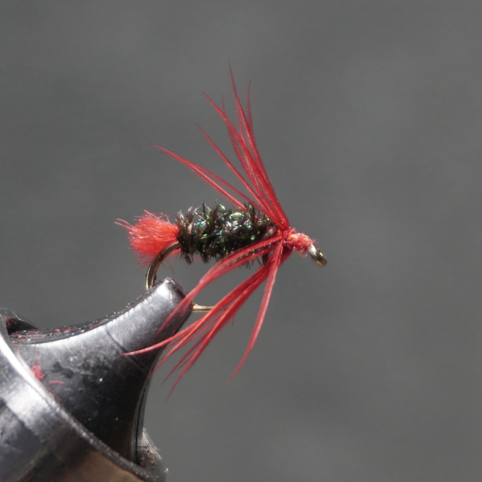 Red Tag fly pattern tied by Christian Andrews