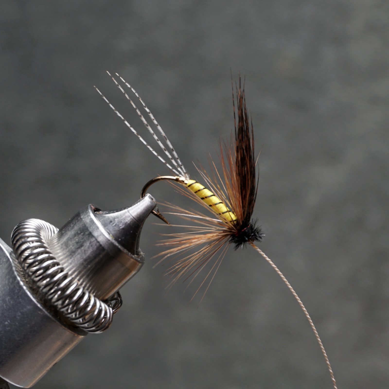 Shain Fly fly pattern tied by Christian Andrews