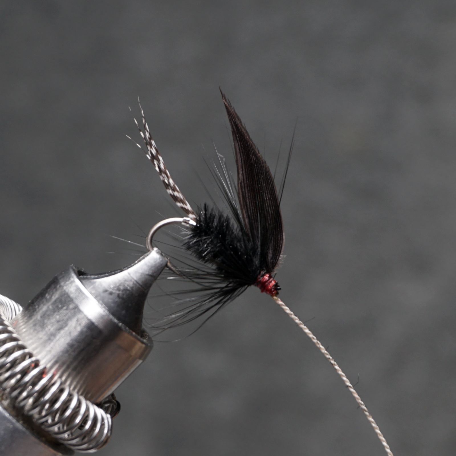 Silver Horns fly pattern tied by Christian Andrews